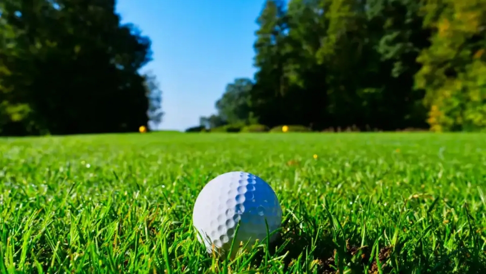 Golf ball on a golf green