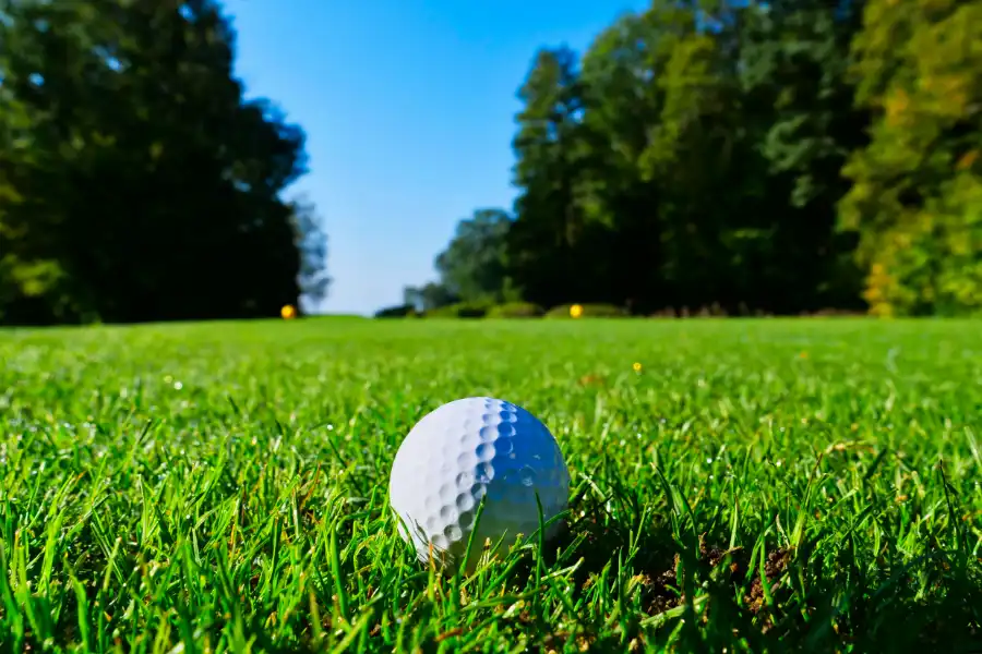 A golf ball sitting on a golf green with trees in the background